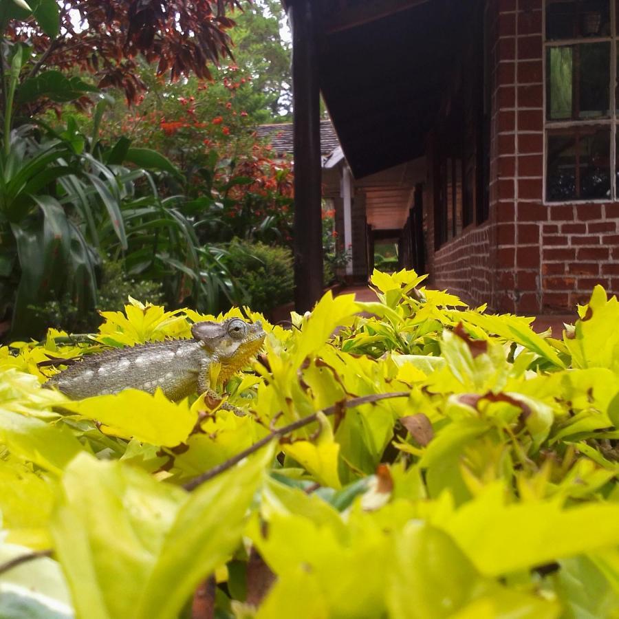 Thomsons Falls Lodge Nyahururu 외부 사진